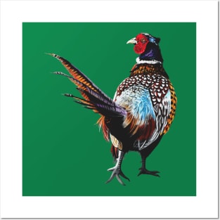 Ardler the Pheasant Posters and Art